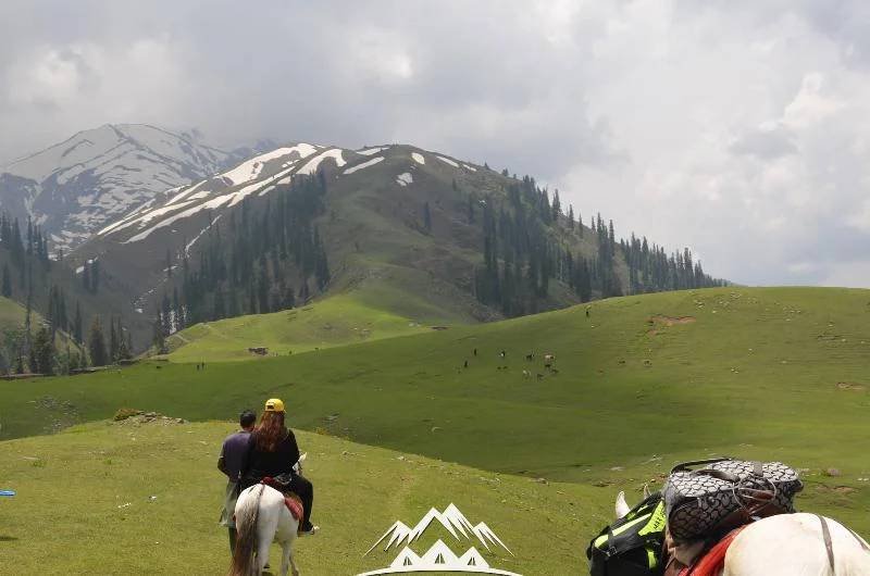 Shogran Siri Paye Meadows