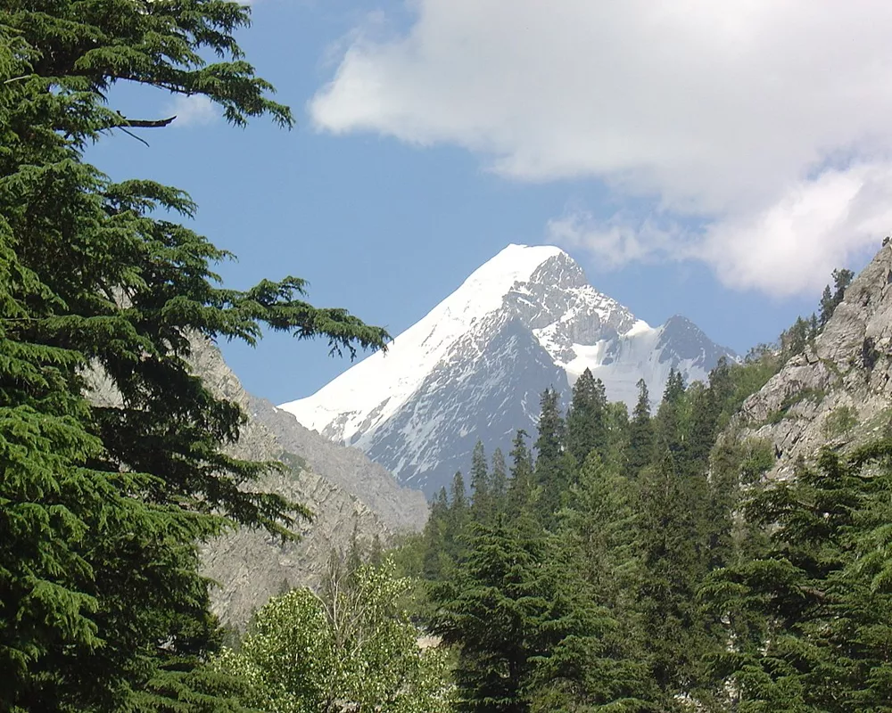 Falak Sar
