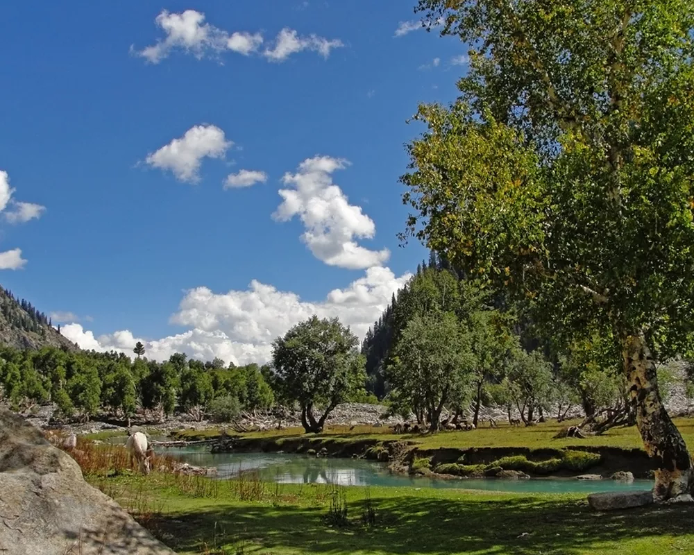 Shahi-Bagh-Swat