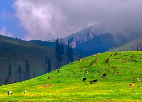 Discover Swat Valley Unveil Nature’s Paradise & Adventure Awaits | Swat Valley Tourism places
