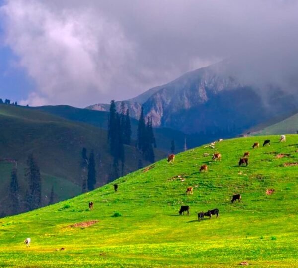swat valley tourism places
