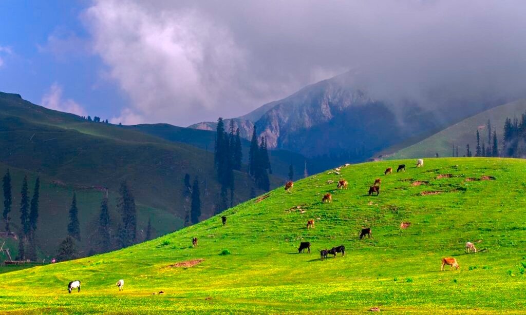 Discover Swat Valley Unveil Nature’s Paradise & Adventure Awaits | Swat Valley Tourism places
