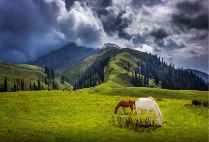 Shogran Siri Paye Meadows