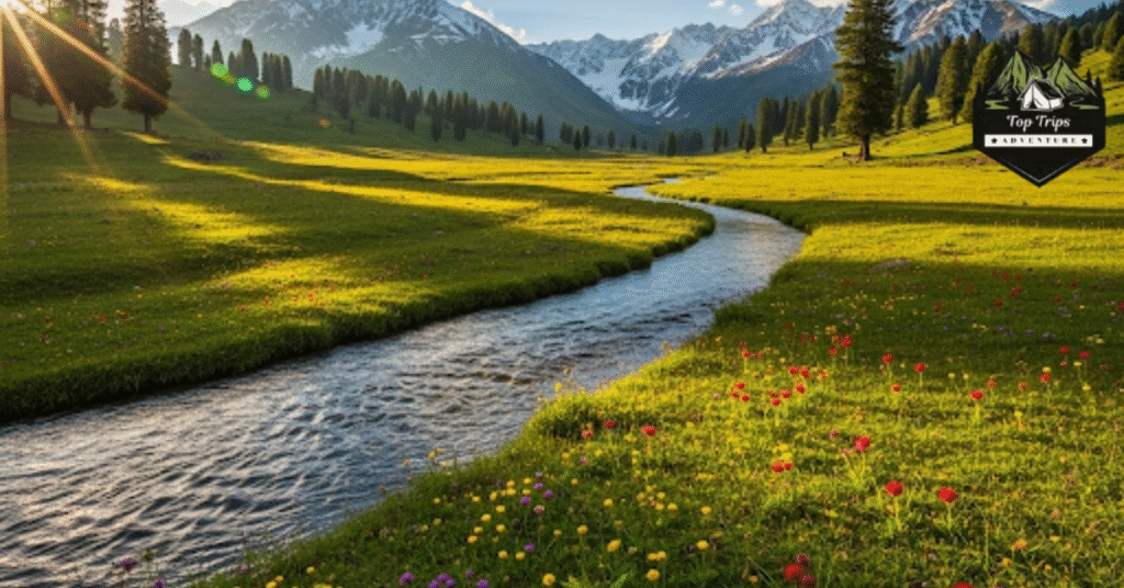 kunda banda meadows